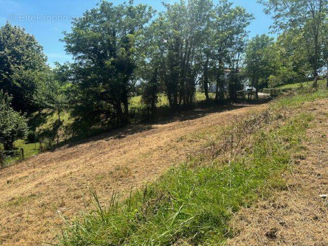 Terrain à SAINT-ESTEBEN