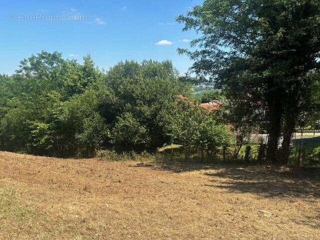 Terrain à SAINT-ESTEBEN
