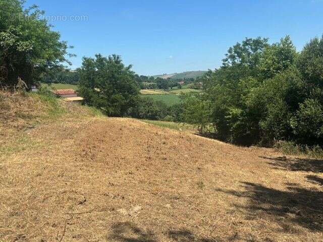 Terrain à SAINT-ESTEBEN