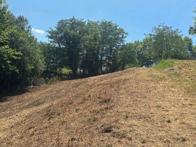 Terrain à SAINT-ESTEBEN