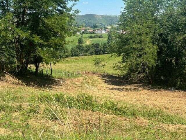 Terrain à SAINT-ESTEBEN