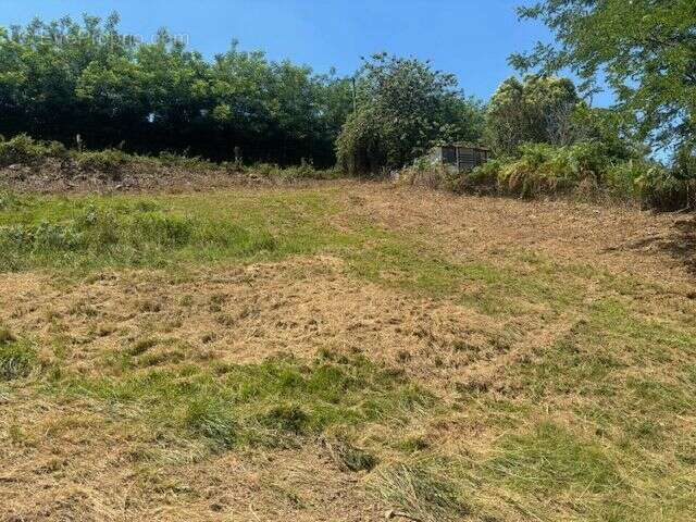 Terrain à SAINT-ESTEBEN