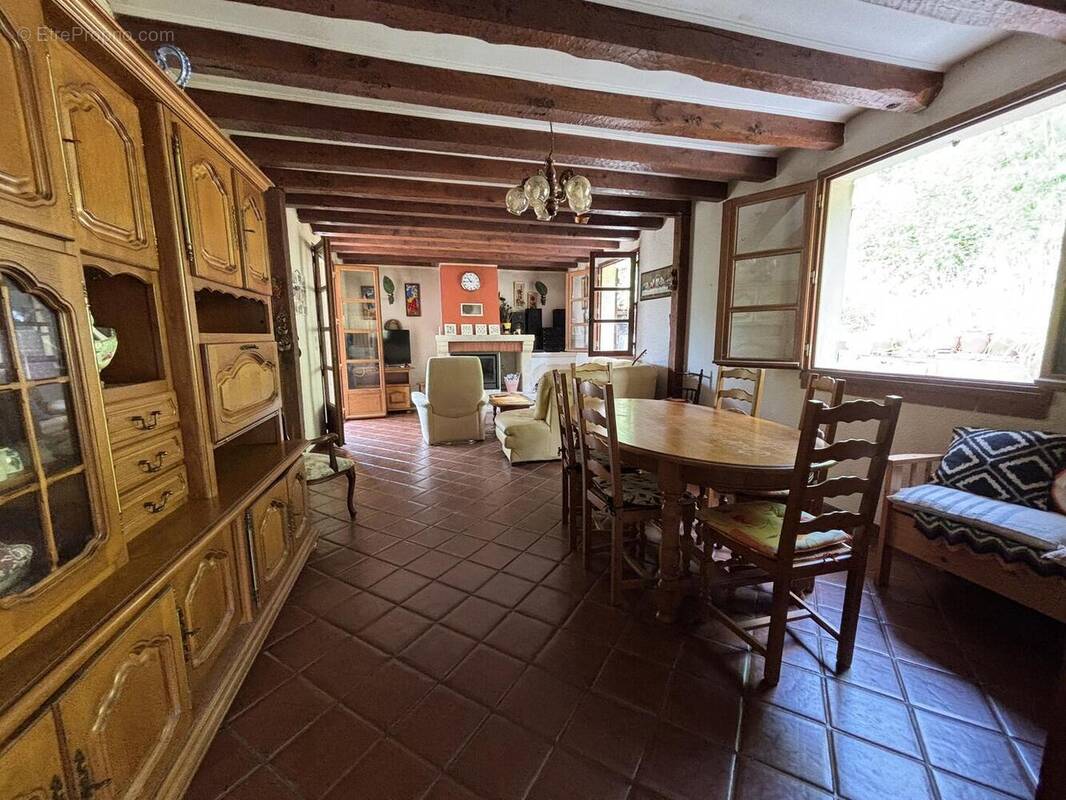 Séjour - Maison à ARCAMBAL