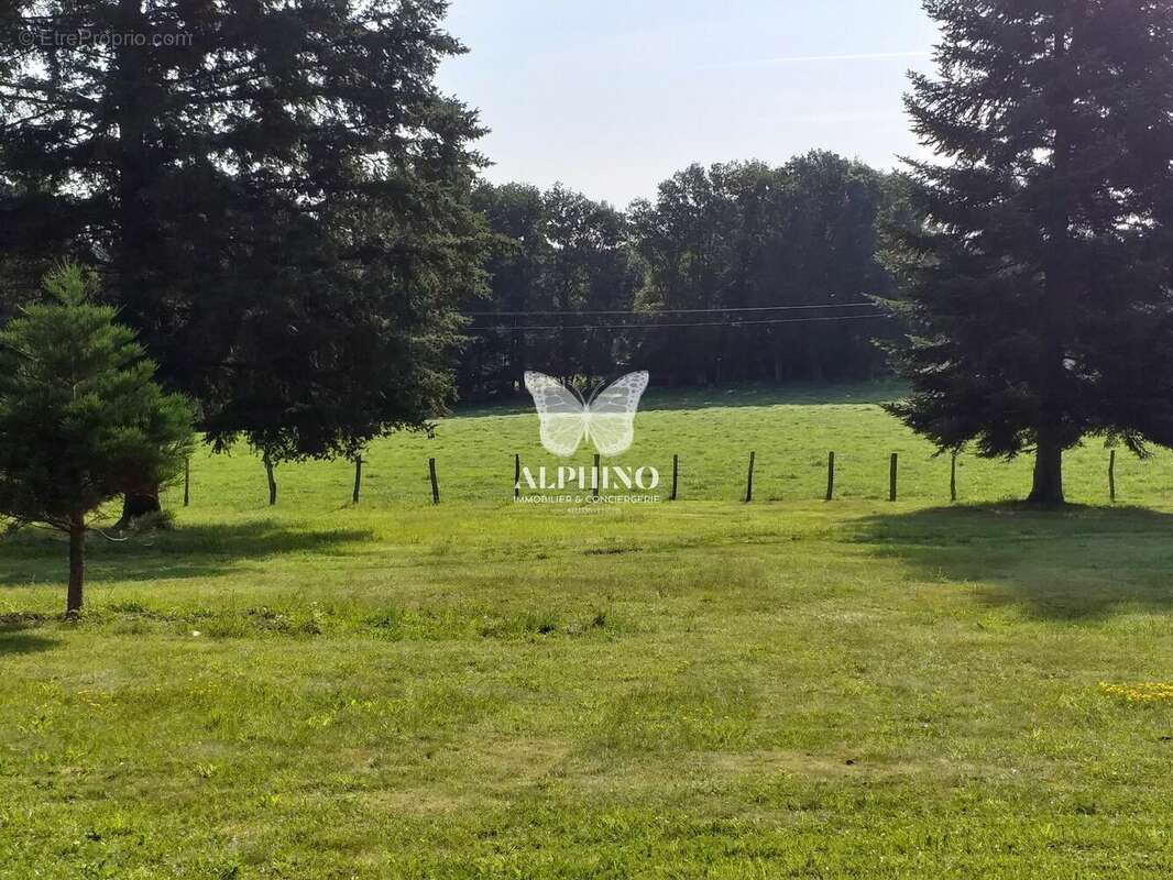 Terrain à SAINT-JUST-LE-MARTEL