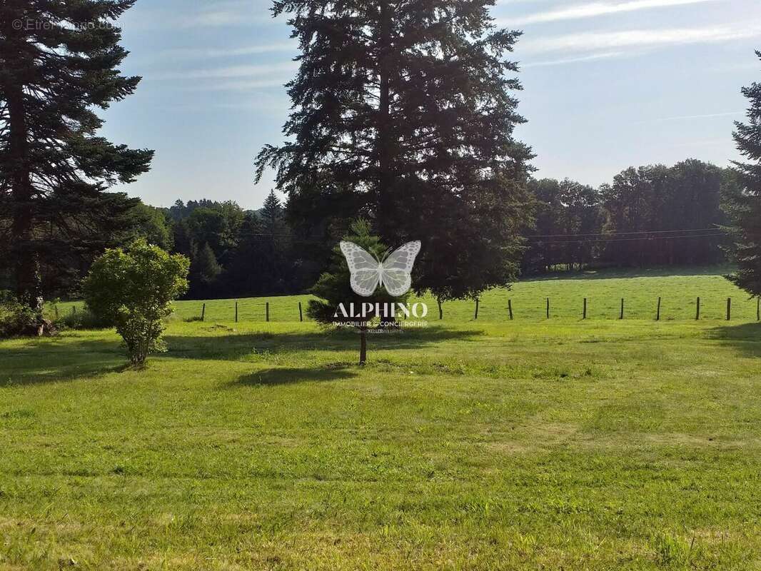 Terrain à SAINT-JUST-LE-MARTEL