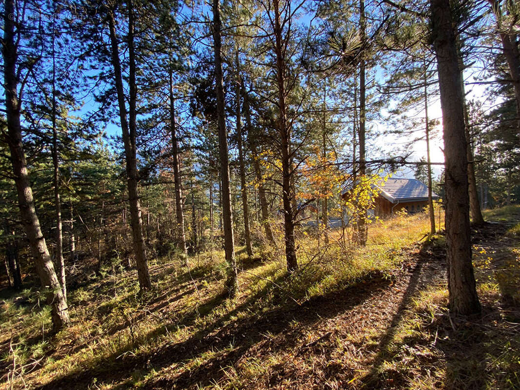 Terrain à EMBRUN
