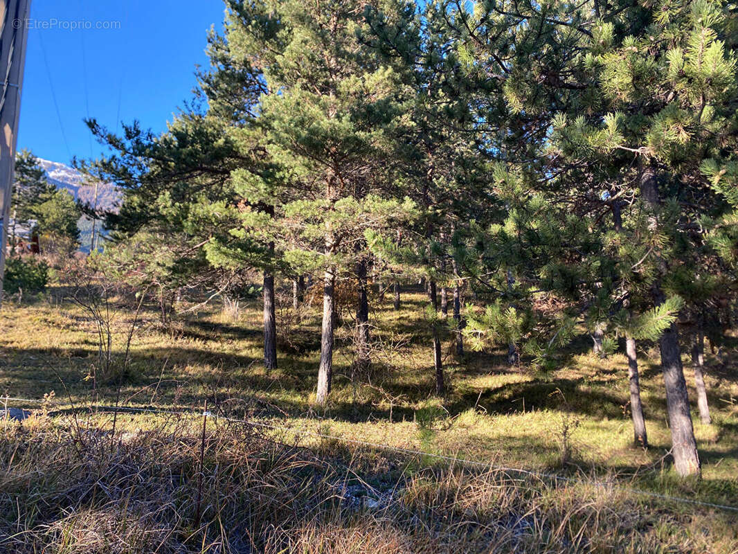 Photo 4 - Terrain à EMBRUN