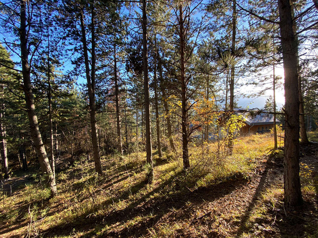 Photo 8 - Terrain à EMBRUN