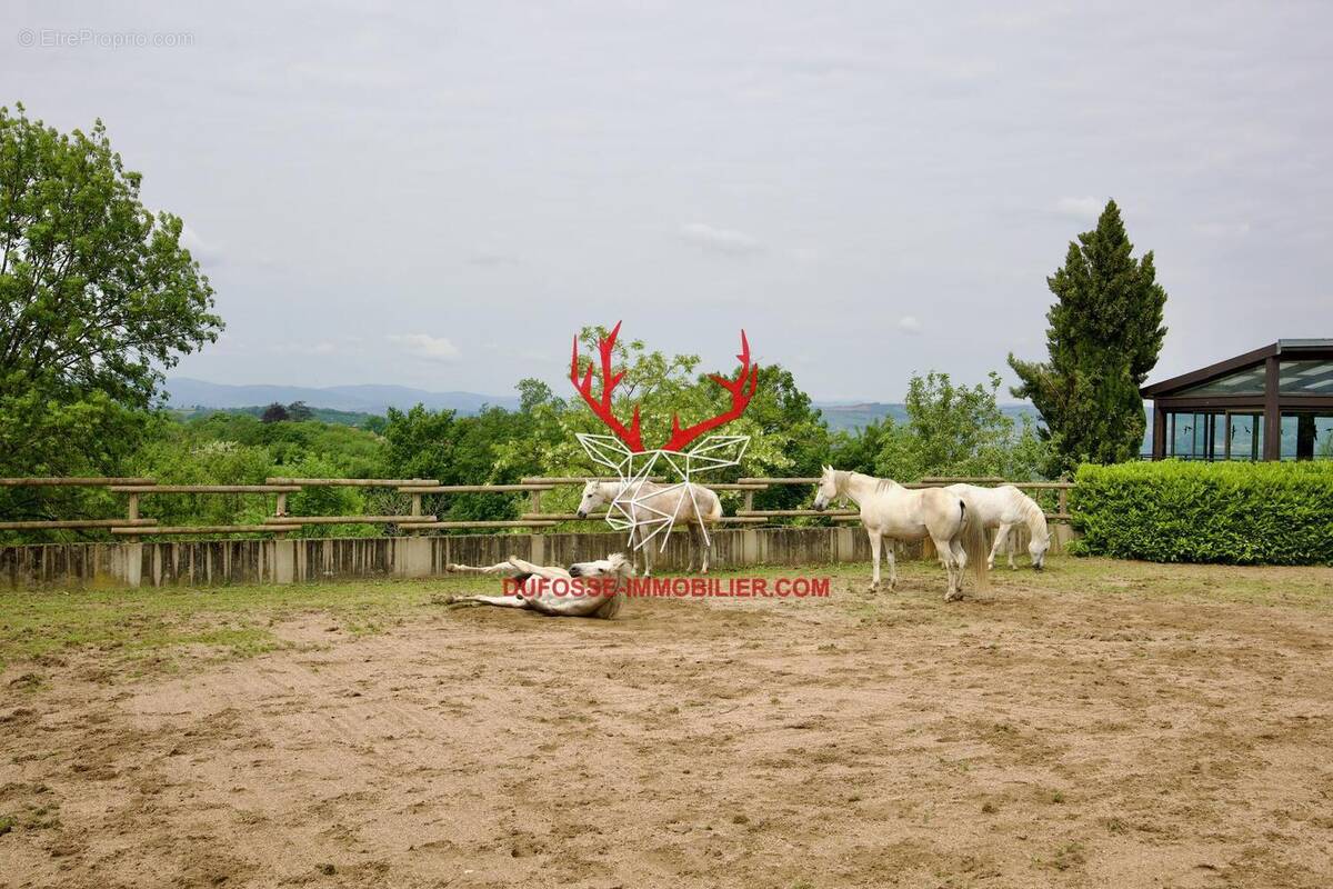 Photo 1 - Maison à CHASSELAY