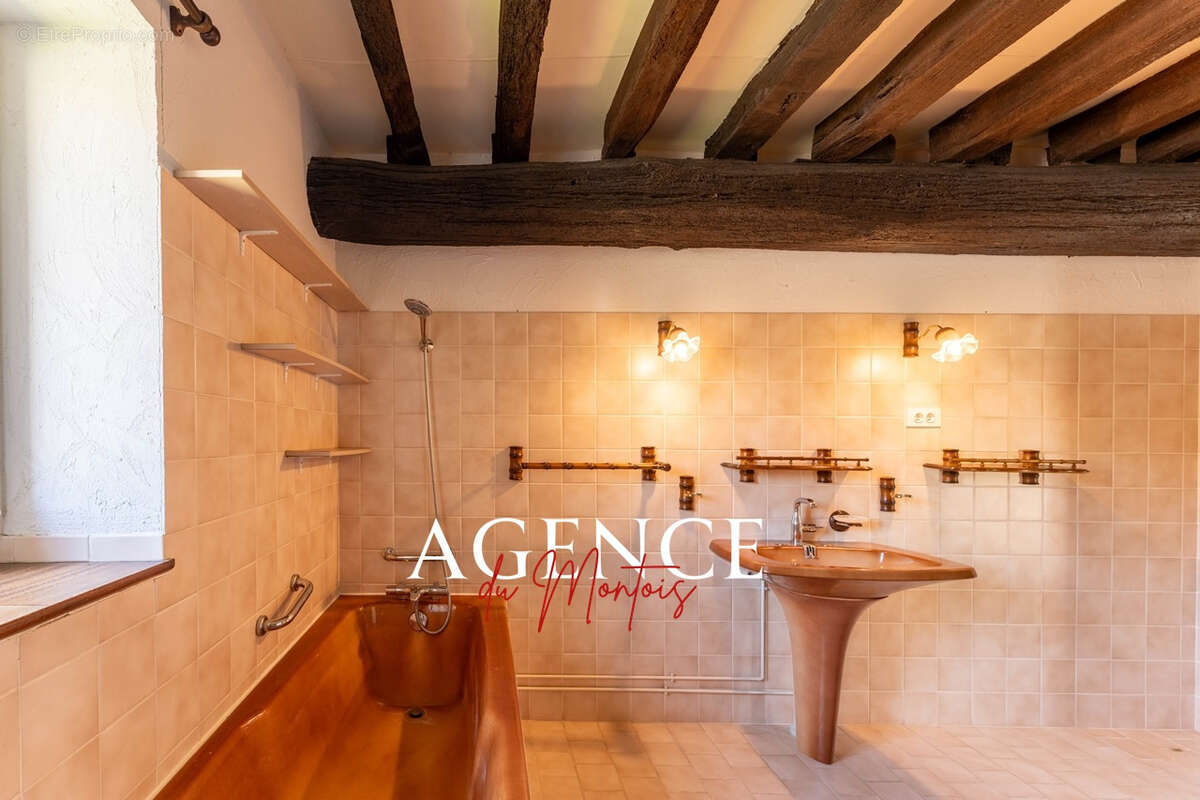 Maison à DONNEMARIE-DONTILLY