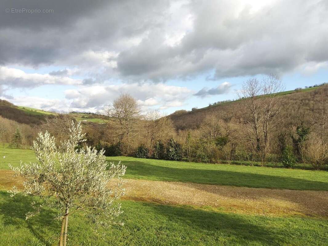 Photo 9 - Maison à MARTRIN