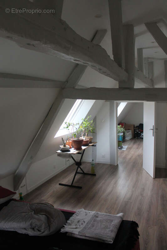 Maison à SEMBLANCAY