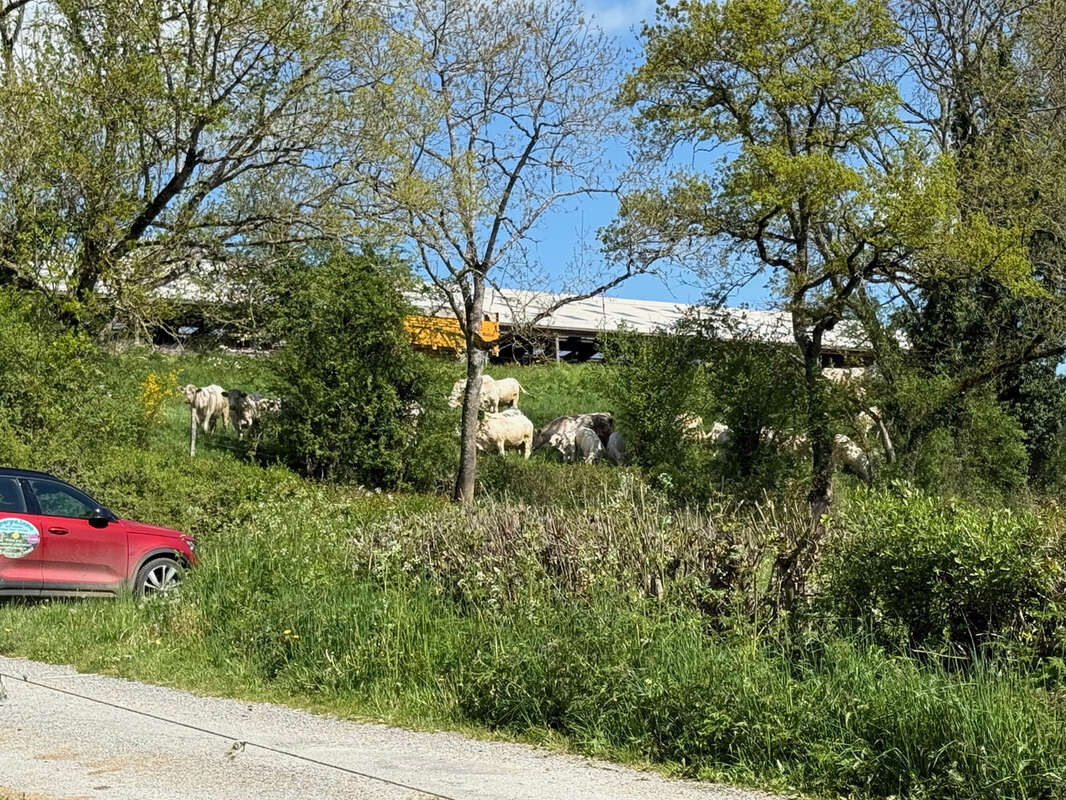 Maison à GOUTTIERES