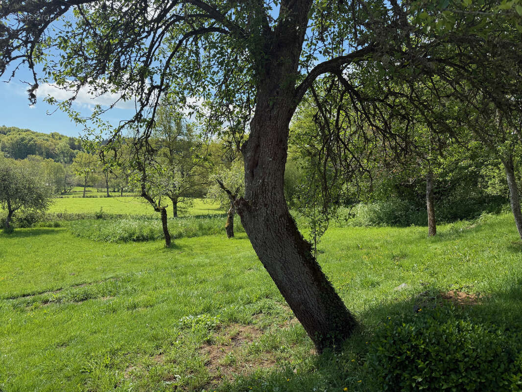 Maison à GOUTTIERES