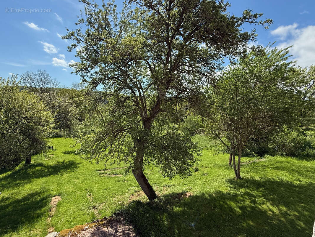Maison à GOUTTIERES