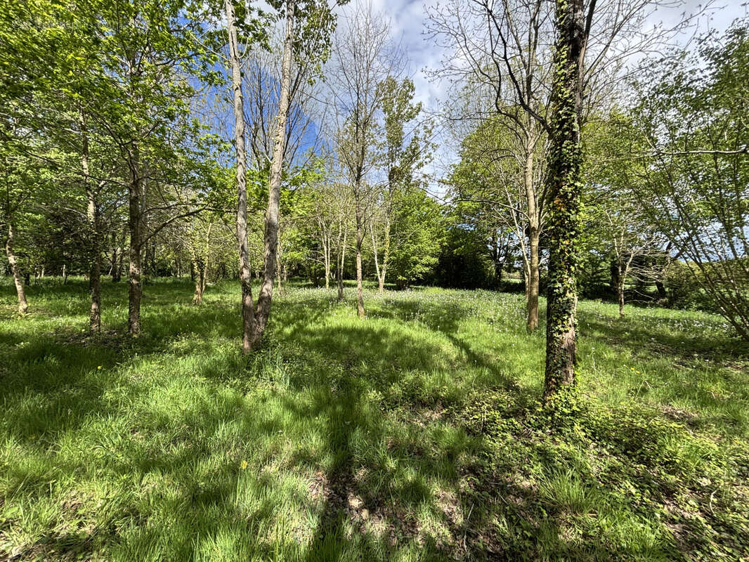 Terrain à SAINT-AVAUGOURD-DES-LANDES