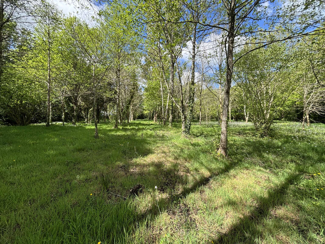 Terrain à SAINT-AVAUGOURD-DES-LANDES