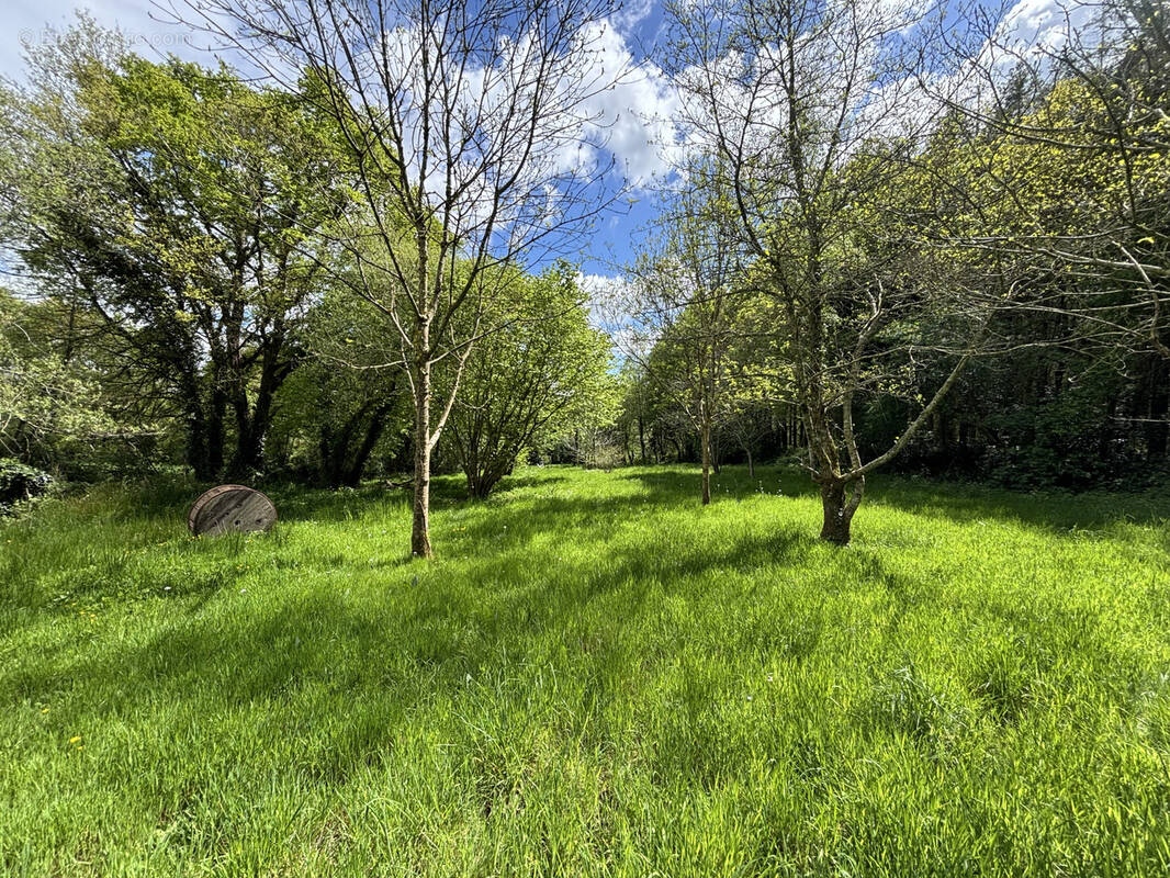 Terrain à SAINT-AVAUGOURD-DES-LANDES