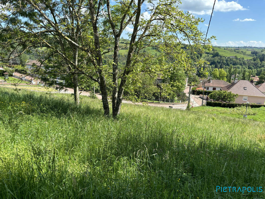 Terrain à AMPLEPUIS