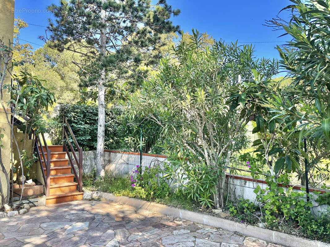 Appartement à SARI-SOLENZARA