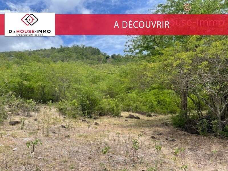 Terrain à BOUILLANTE