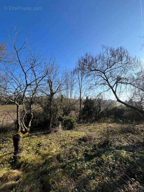 Terrain à LES AVENIERES