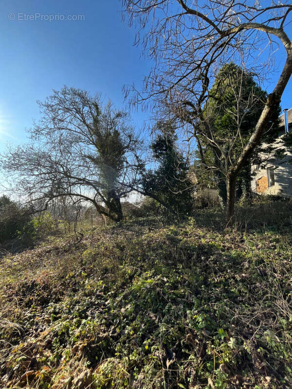 Terrain à LES AVENIERES