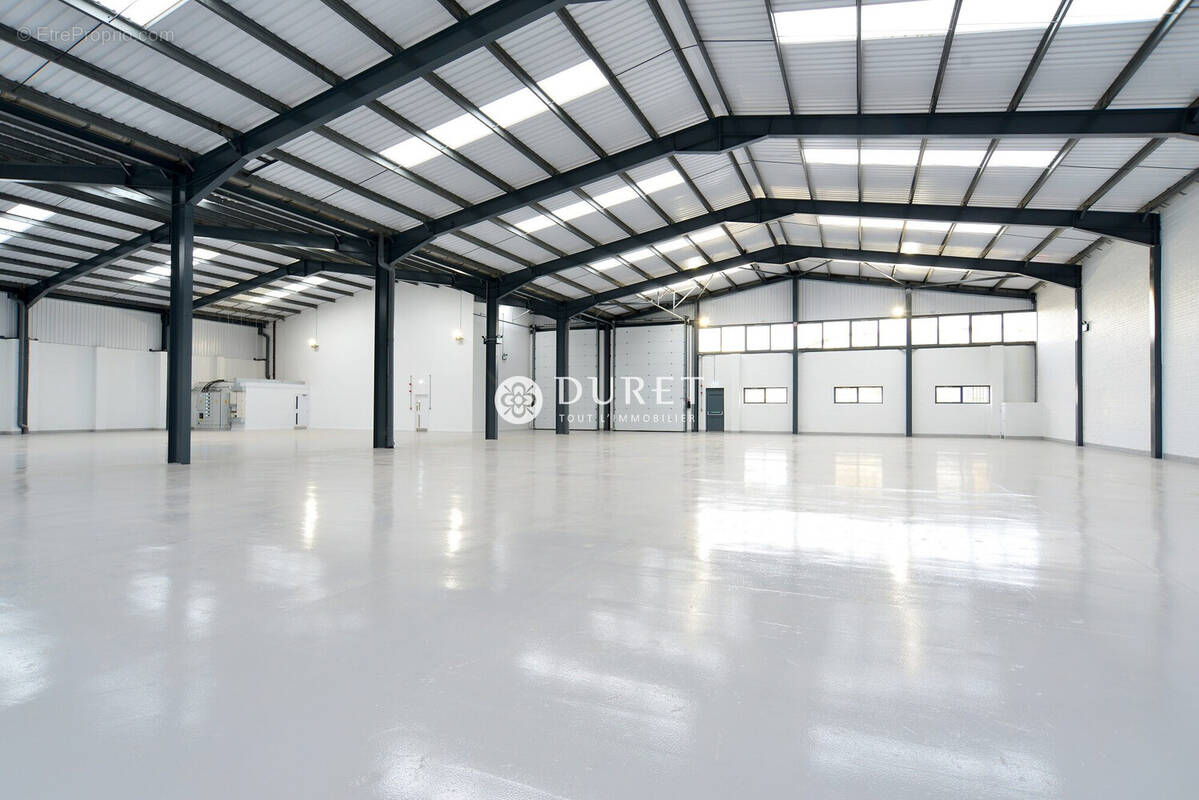 Commerce à CHALLANS