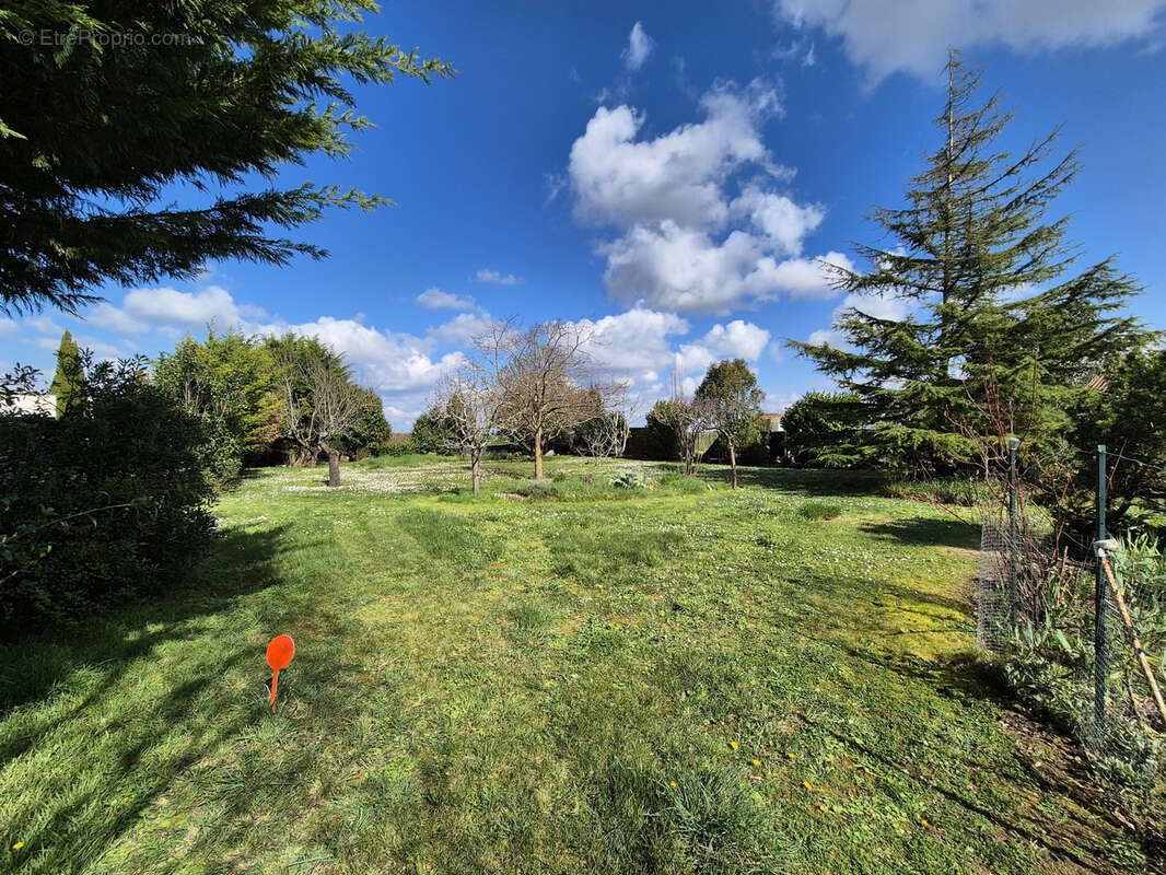 Terrain à SAINT-LAURENT-DE-LA-PREE