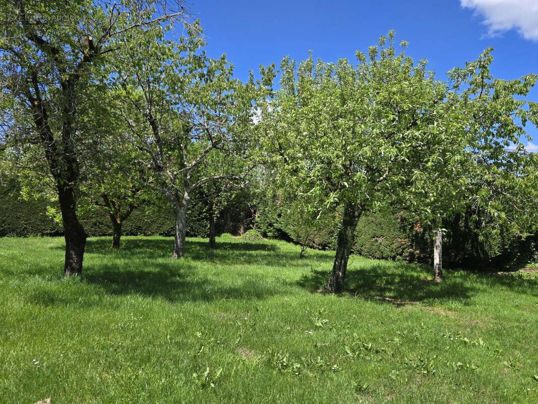 Maison à VILLAMBLARD