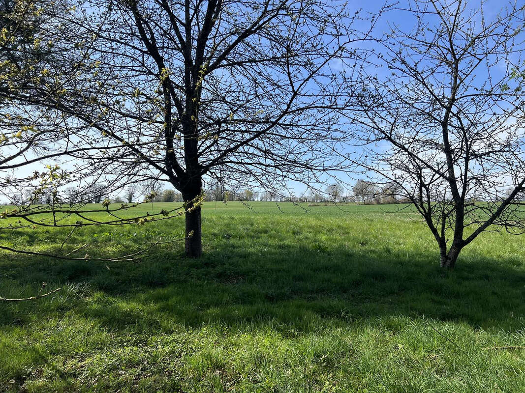 Maison à LE PIN-LA-GARENNE