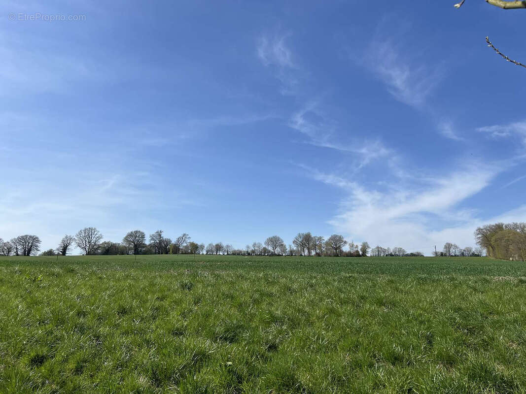 Maison à LE PIN-LA-GARENNE