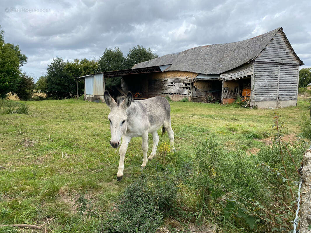 Terrain à POIX-DE-PICARDIE