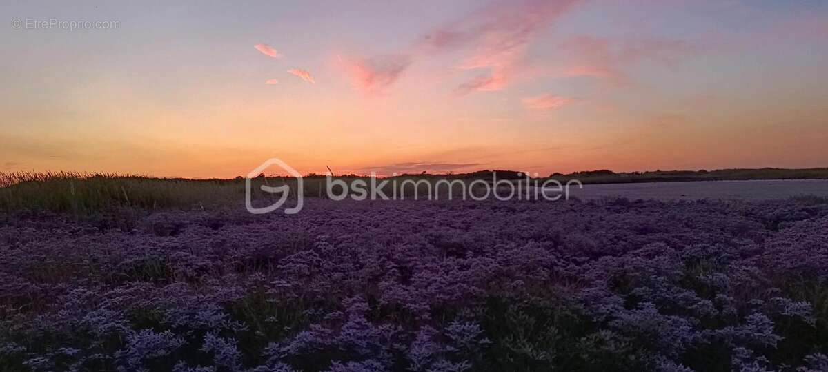 Maison à FORT-MAHON-PLAGE
