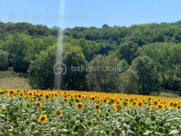 Maison à AURIONS-IDERNES