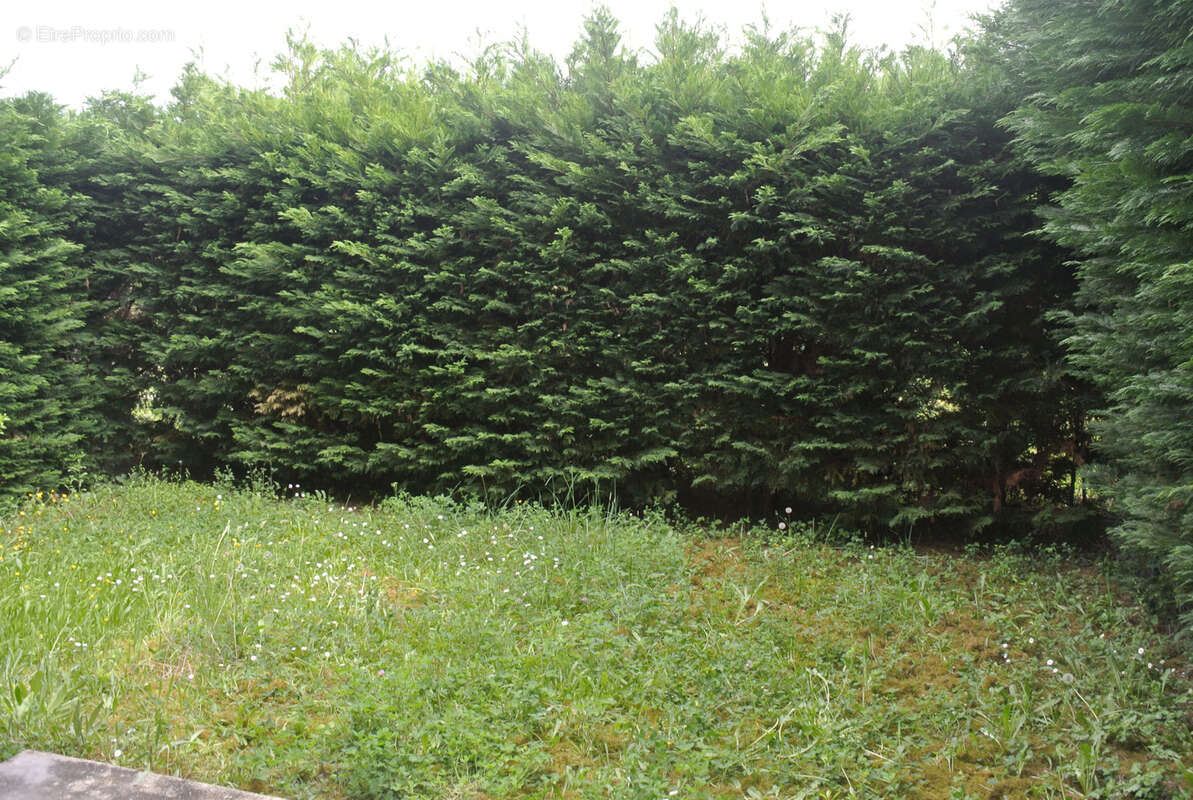 Appartement à MARMANDE