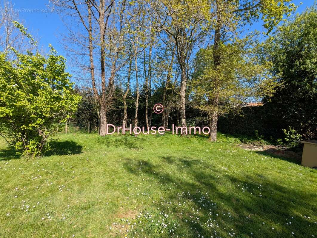 Terrain à L&#039;ILE-D&#039;OLONNE