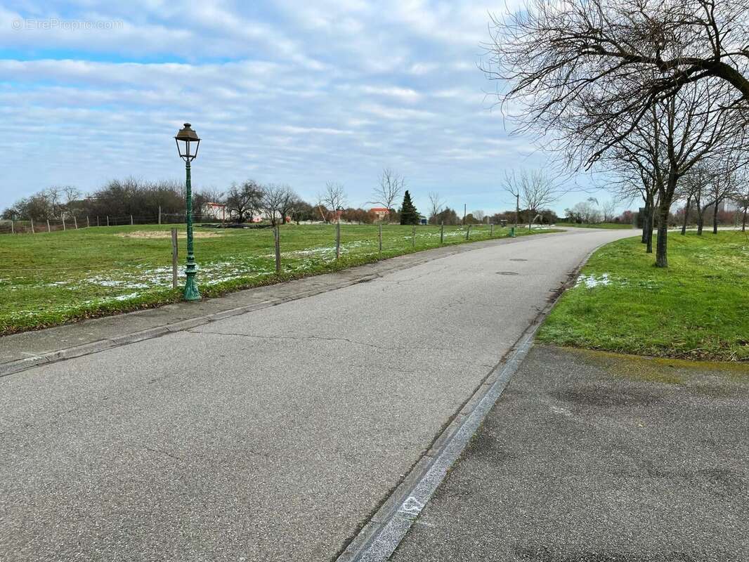 Terrain à UNGERSHEIM