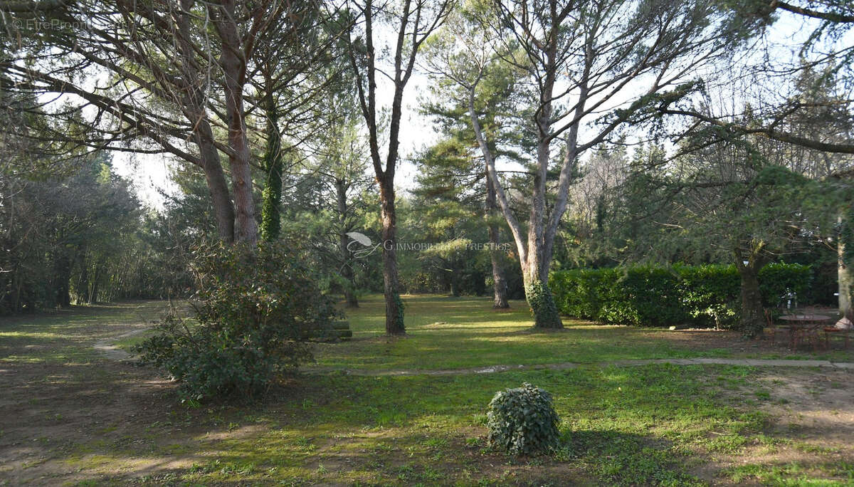 Maison à CARPENTRAS