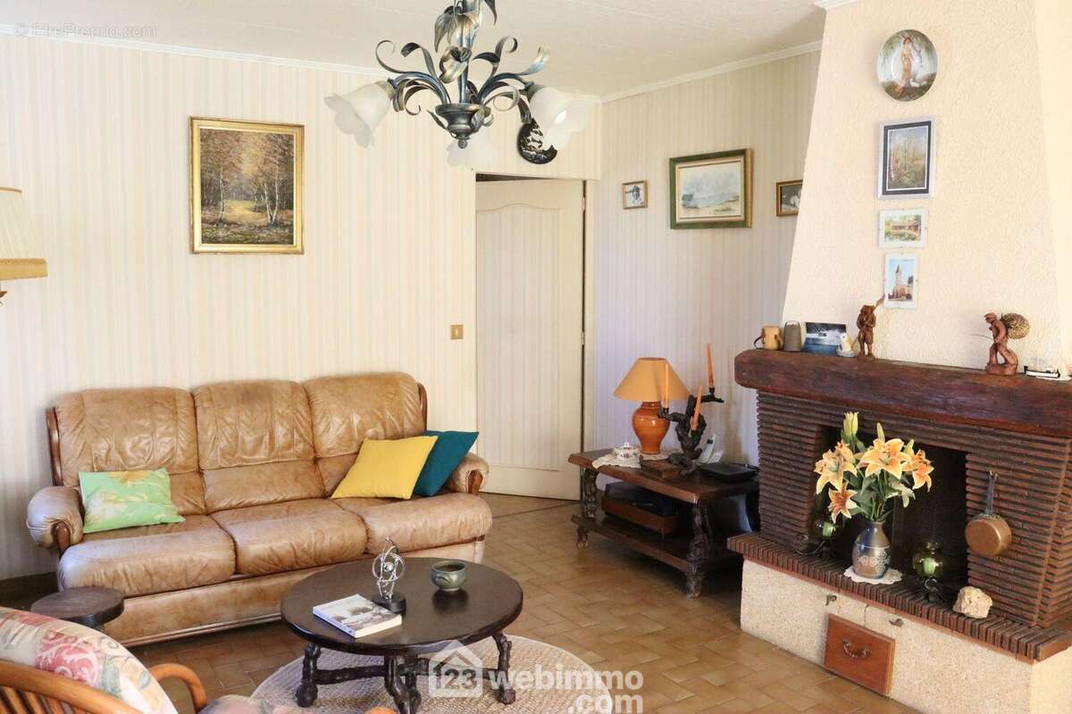 Salon avec cheminée. - Maison à SAINT-HILAIRE-LA-FORET