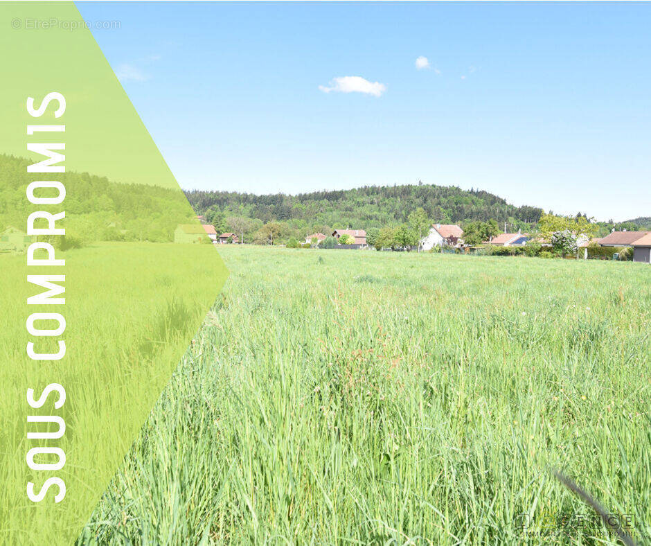 Terrain à ANOULD