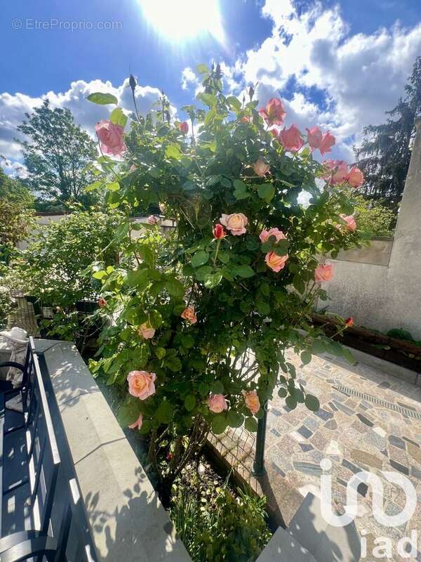 Photo 4 - Maison à PIERREFITTE-SUR-SEINE