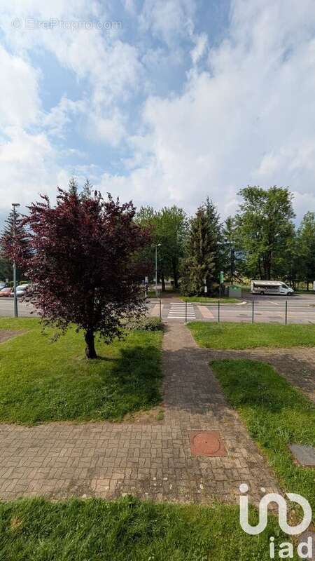 Photo 9 - Appartement à THYEZ