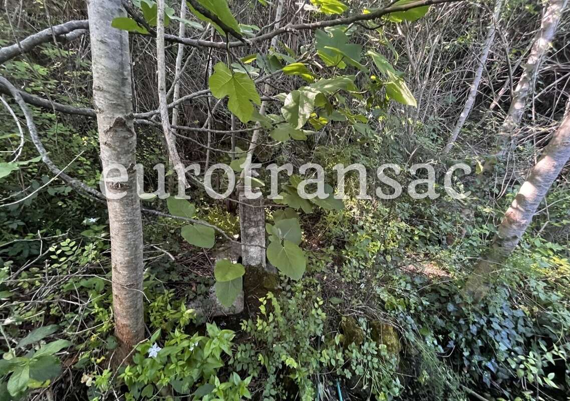 Terrain à SAINT-PARGOIRE