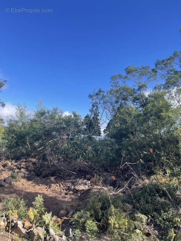 Terrain à SAINT-PIERRE