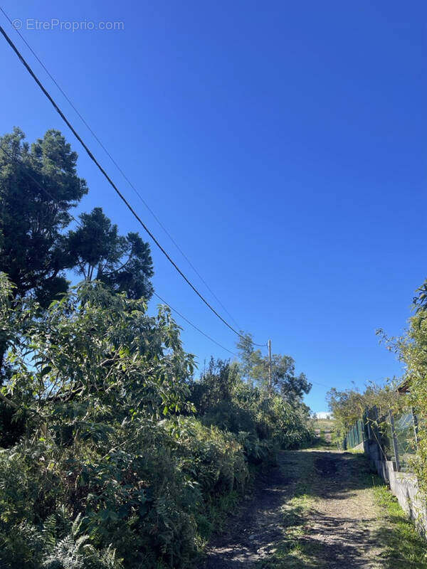 Terrain à SAINT-PIERRE