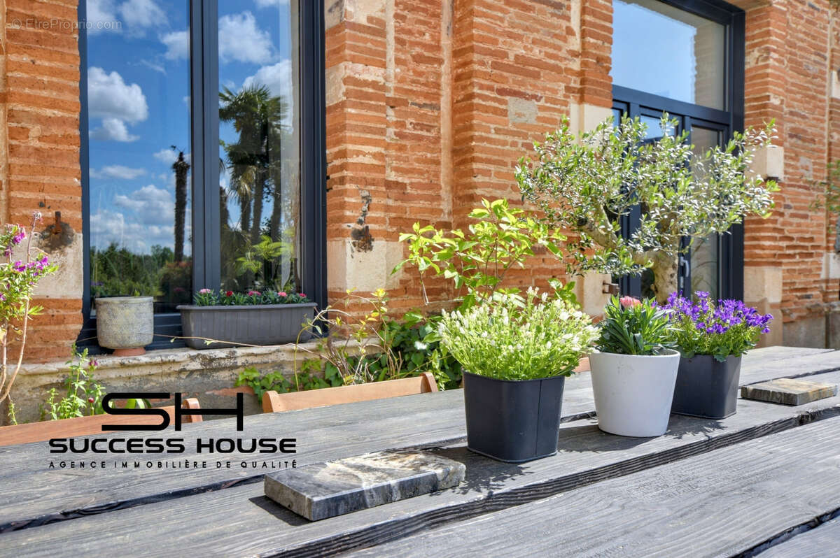 Maison à MONTESQUIEU-VOLVESTRE