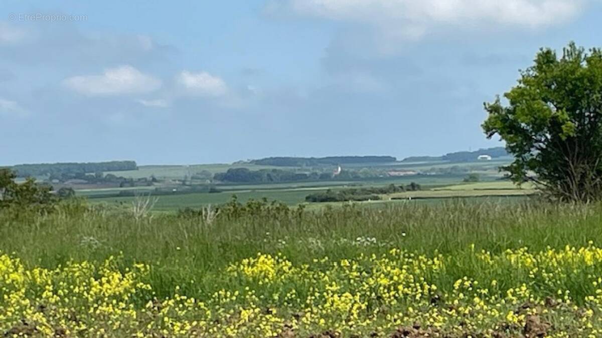 Terrain à HARAUCOURT