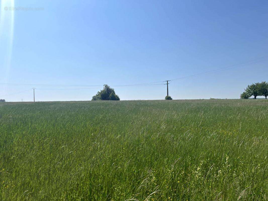 Terrain à LES GRANDES-CHAPELLES