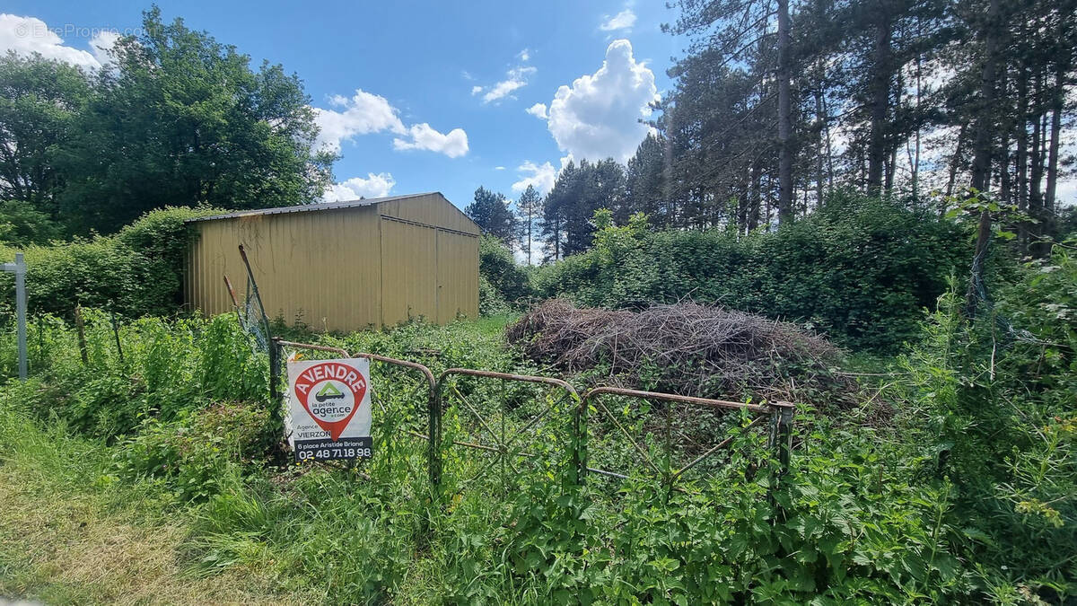 Terrain à VIGNOUX-SUR-BARANGEON